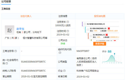 軟件技術(shù)轉(zhuǎn)讓在半導體投資聯(lián)盟中的戰(zhàn)略意義與實踐路徑